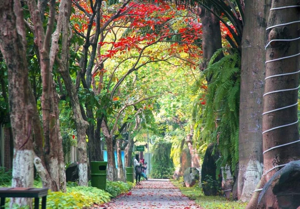Khu đô thị nói không với những cung đường, vỉa hè bê tông - 4 Khu đô thị nói không với những cung đường, vỉa hè bê tông - 4