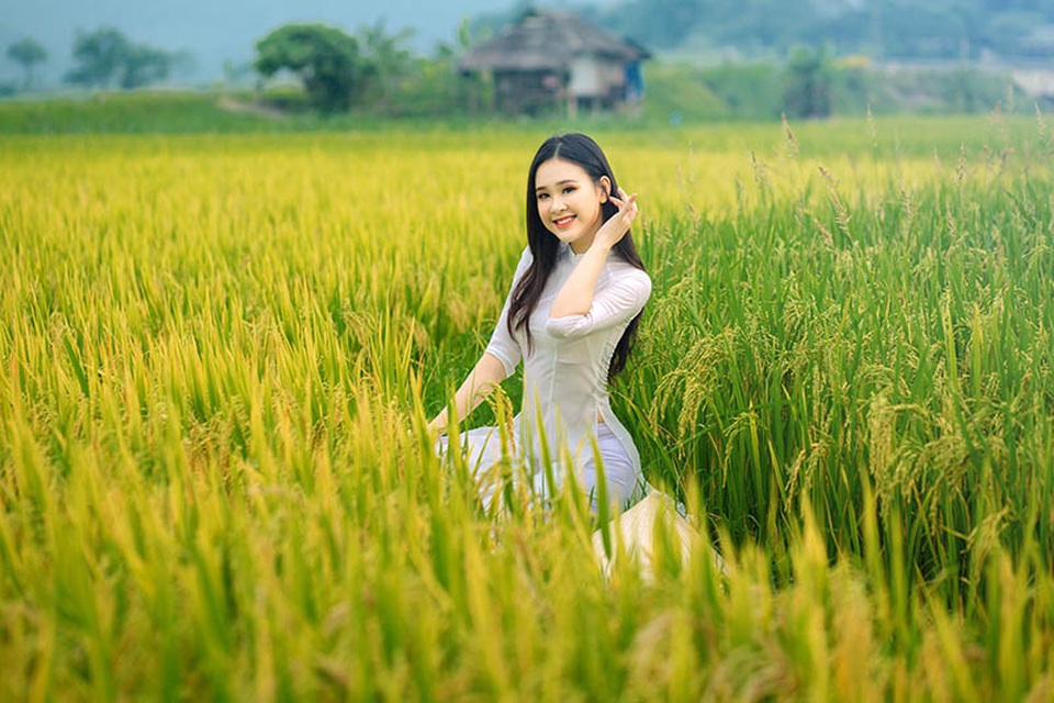 Á khôi Sinh viên Việt Nam khoe nét xuân thì bên cánh đồng lúa - 2 Á khôi Sinh viên Việt Nam khoe nét xuân thì bên cánh đồng lúa - 2