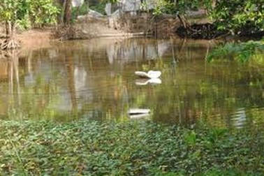 Bé trai 16 tháng tử vong tại điểm giữ trẻ tự phát