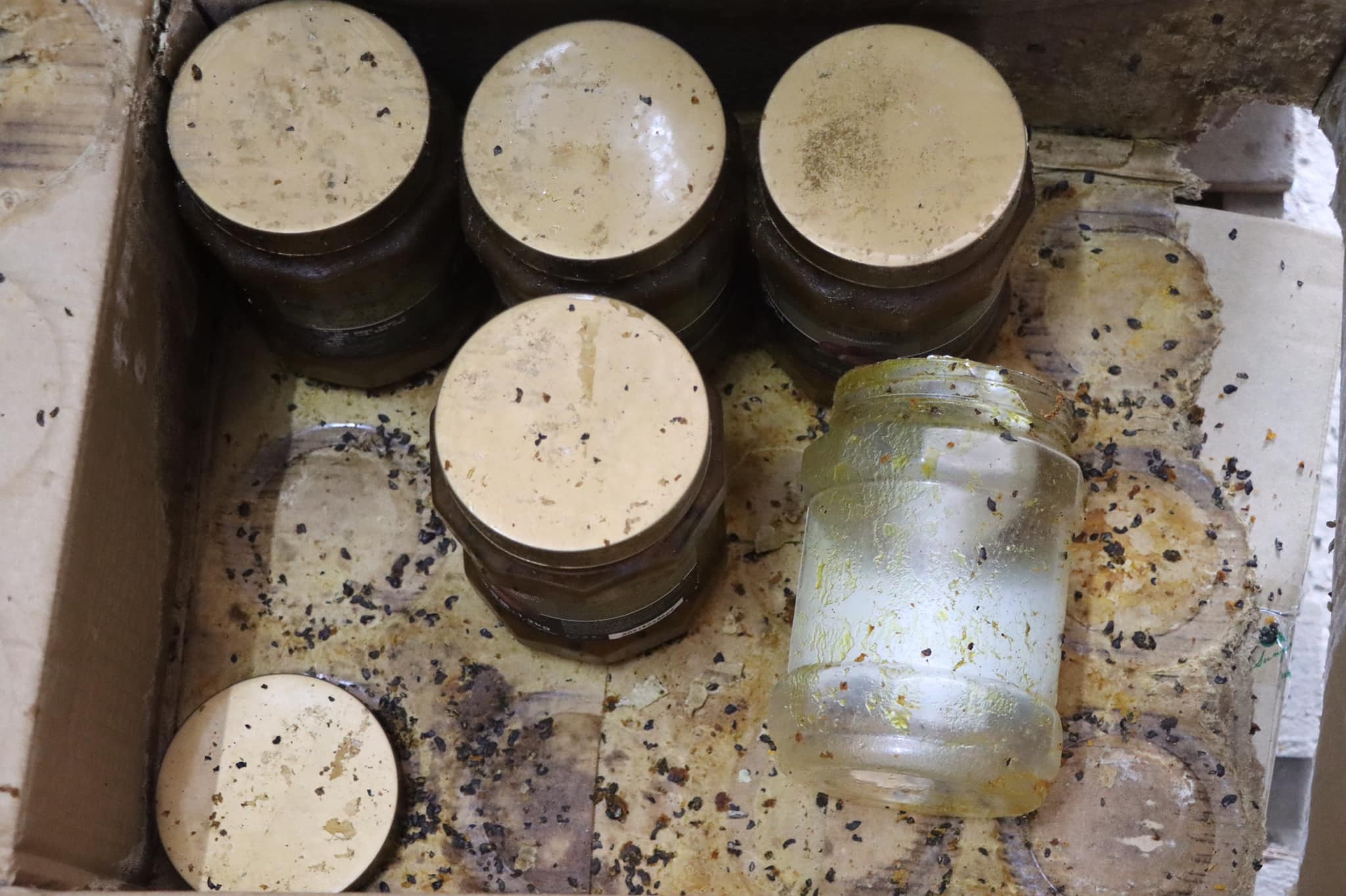 Kho nguyên liệu trà sữa cực lớn giới trẻ ưa chuộng bị mốc, thiếu xuất xứ - 6 Kho nguyên liệu trà sữa cực lớn giới trẻ ưa chuộng bị mốc, thiếu xuất xứ - 6