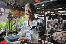 Cụ ông 83 tuổi gắn bó với nghề nuôi cá cảnh từ 6 cặp cá thia lia