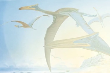 “Sát thủ trên không” to như máy bay, ăn thịt cả khủng long từng tồn tại trên trái đất