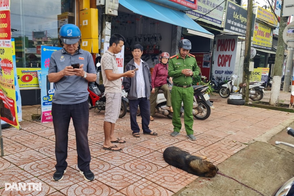 Con chó cắn 2 học sinh ngay trước cổng trường là chó dại - 1 Con chó cắn 2 học sinh ngay trước cổng trường là chó dại - 1