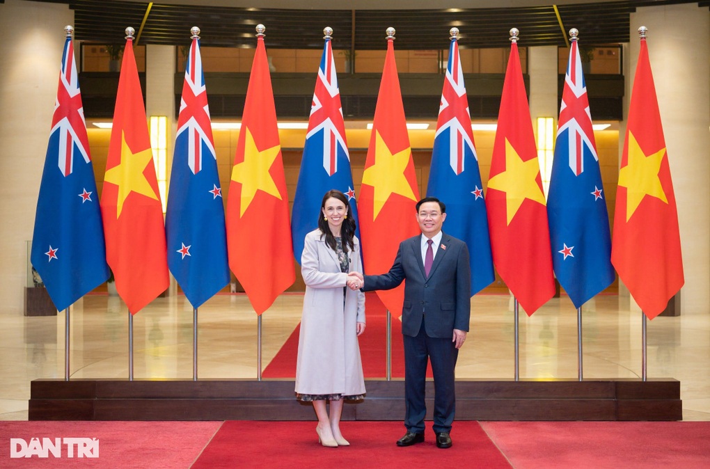 Giáo dục là lĩnh vực quan trọng nhất trong quan hệ Việt Nam - New Zealand - 3 Giáo dục là lĩnh vực quan trọng nhất trong quan hệ Việt Nam - New Zealand - 3