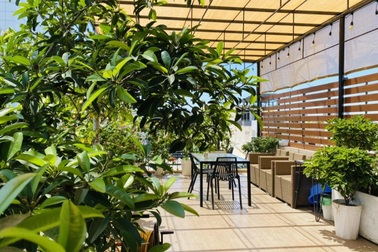 Vườn sân thượng thơ mộng thu trái cây quanh năm của gia đình tại Đà Nẵng