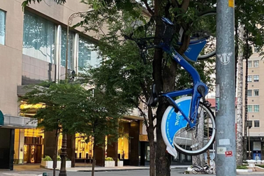 "Khóc ròng" khi xe đạp công cộng ở TPHCM bị treo ngược cành cây