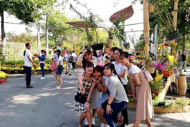 Cây đặc sản quýt hồng bì vàng lá, thối rễ… du khách bỏ đi vì thiếu chỗ check in