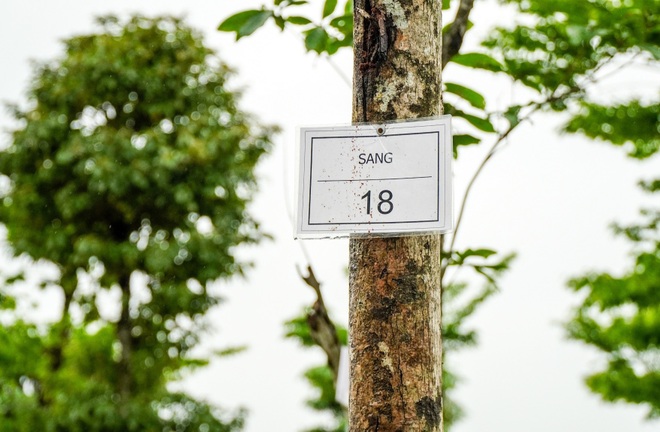 Toàn cảnh công viên Thiên văn học sắp hoàn thành tại Hà Nội - 10