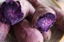 Giảm nguy cơ ung thư đại tràng nhờ ăn khoai lang tím