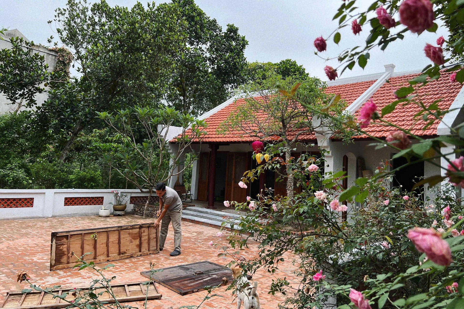 Căn nhà xây năm 1985 lột xác chỉ với 50 triệu đồng khiến hàng xóm trầm trồ - 5 Căn nhà xây năm 1985 lột xác chỉ với 50 triệu đồng khiến hàng xóm trầm trồ - 5