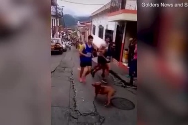 Cái kết đắng cho vận động viên điền kinh đạp chú chó cản đường