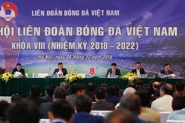 VFF hoãn Đại hội thường niên để chống dịch Covid-19