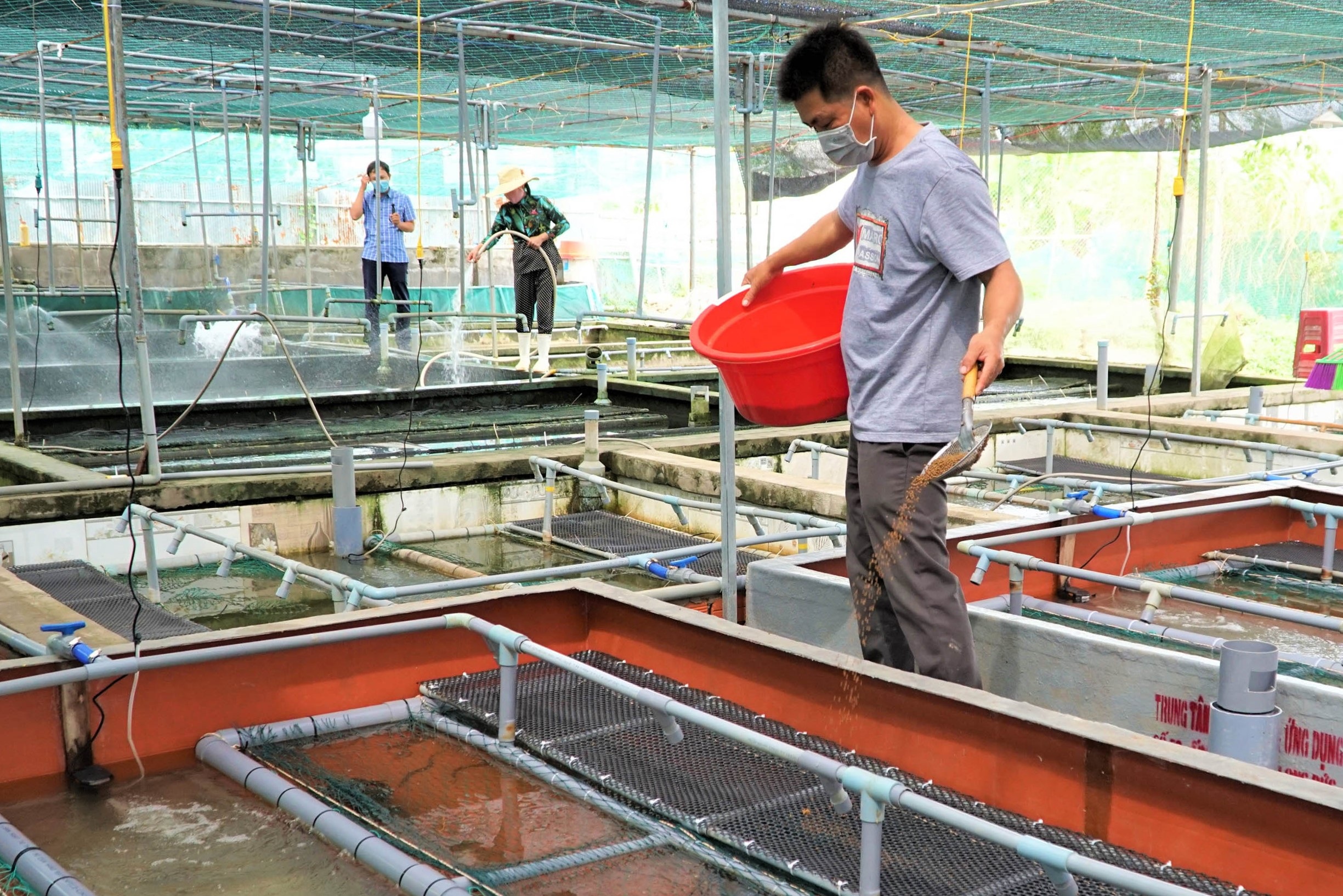 Nuôi lươn không bùn, anh nông dân miền Tây đút túinửa tỷ đồng mỗi năm - 3 Nuôi lươn không bùn, anh nông dân miền Tây đút túinửa tỷ đồng mỗi năm - 3