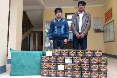 Bắt giữ các đối tượng vận chuyển pháo và động vật hoang dã