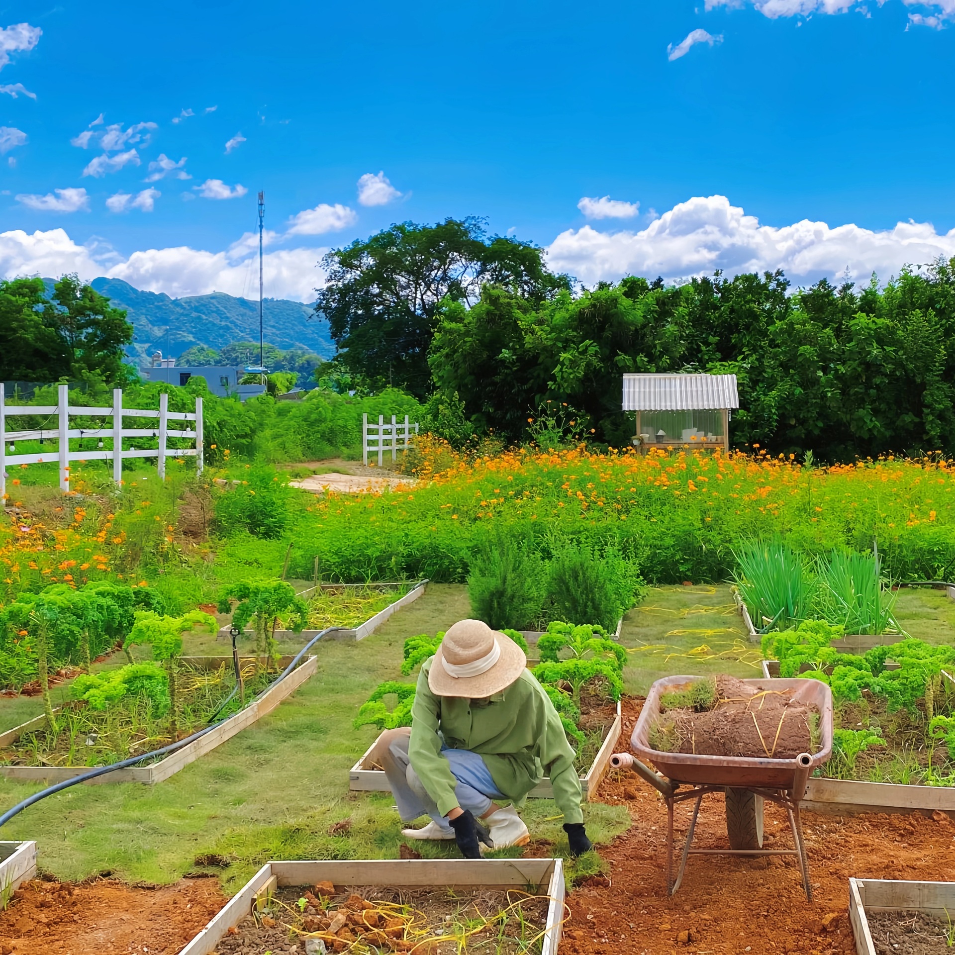 Cô gái ở Mộc Châu biến mảnh đất 800m2 đầy cỏ dại thành vườn đẹp như cổ tích - 10