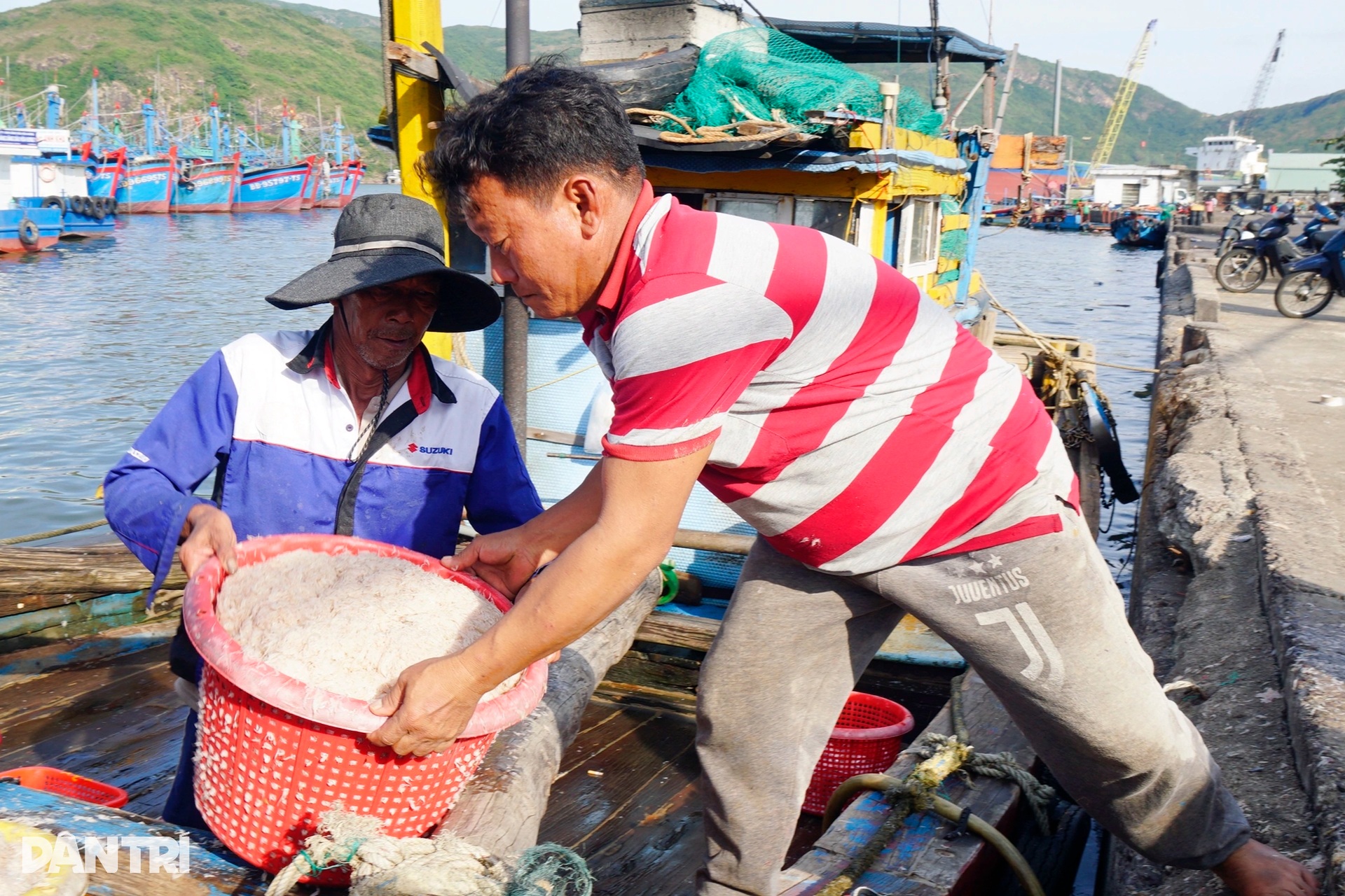 Ngư dân vớt lộc biển, bỏ túi tiền triệu ngày cận Tết - 2 Ngư dân vớt lộc biển, bỏ túi tiền triệu ngày cận Tết - 2