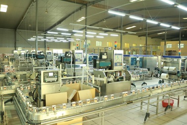 Bên trong nhà máy sữa gạo lứt tiêu chuẩn quốc tế tại Việt Nam