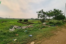 “Sốt ảo” và chiêu trò của các cò đất trong mùa dịch Covid-19