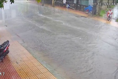 Khi văn hoá giao thông chỉ là trò đùa