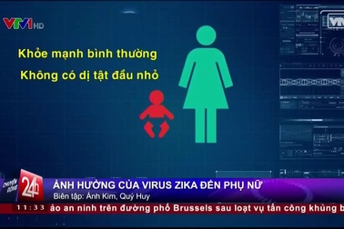 Vi rút Zika ảnh hưởng thế nào tới phụ nữ?