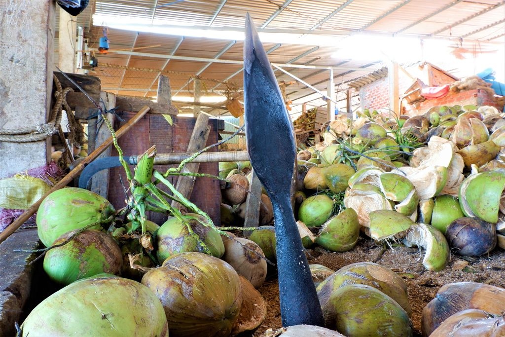 Về Bến Tre xem phụ nữ lột vỏ dừa nhanh... như máy - 4