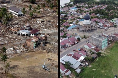 Sự hồi sinh trên những miền đất chết