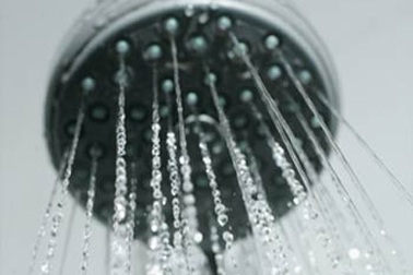Cả một quần xã vi khuẩn ẩn núp trong vòi tắm sen