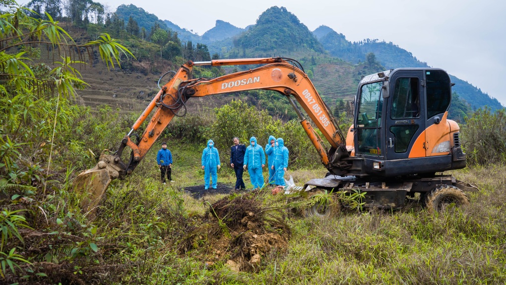 Sau vụ chó dữ cắn nam sinh, Lào Cai tiêu hủy chó vô chủ - 1 Sau vụ chó dữ cắn nam sinh, Lào Cai tiêu hủy chó vô chủ - 1