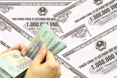 Thủ tướng chỉ đạo tăng cường thanh tra việc phát hành trái phiếu doanh nghiệp