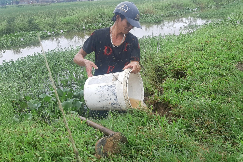 Về xứ Nghệ thưởng thức món thịt chuột đồng nức tiếng có một không hai - 3 Về xứ Nghệ thưởng thức món thịt chuột đồng nức tiếng có một không hai - 3