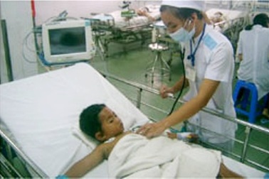 Bị chó phá tổ, bầy ong đốt bé trai “thập tử nhất sinh”