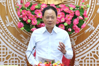 Nhiều trưởng đoàn không trực tiếp đi kiểm tra dự án được giao