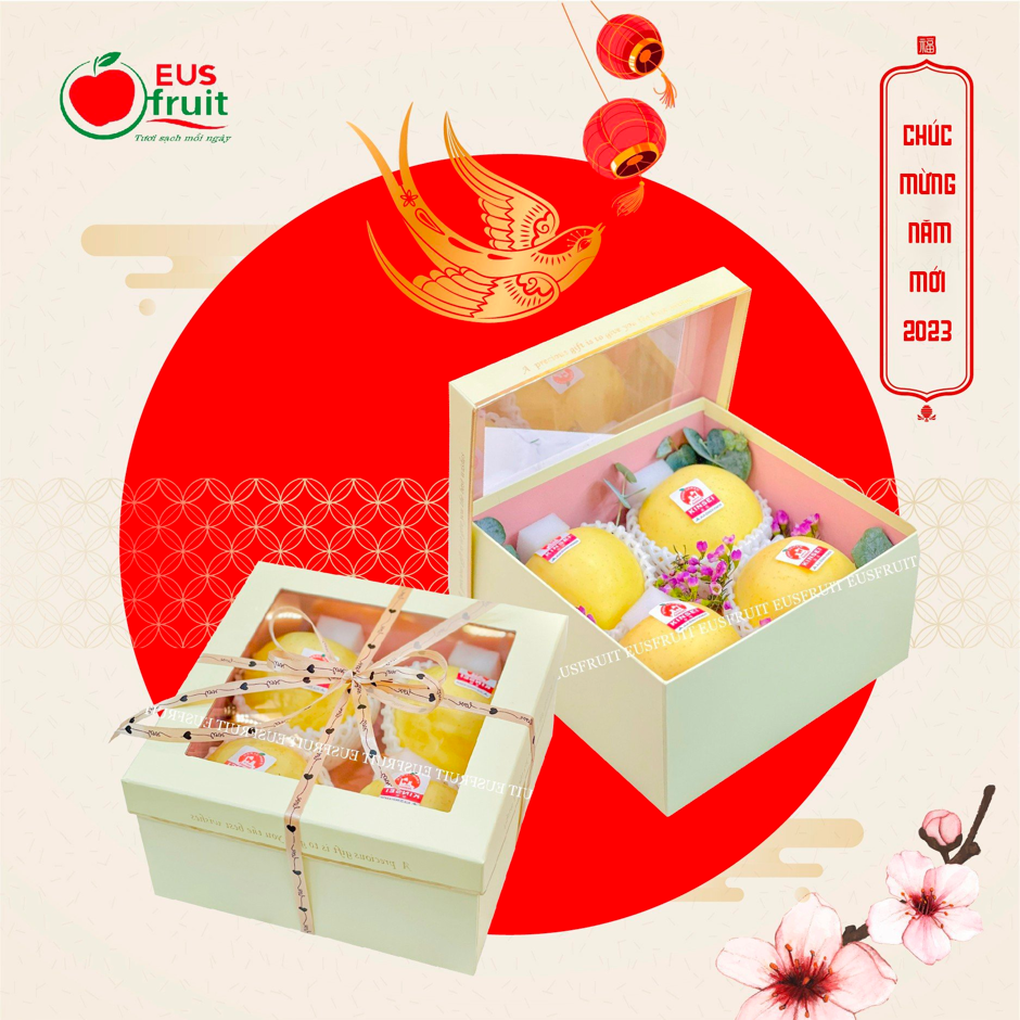Hộp quà Tết Eus fruit trao gửi yêu thương - 1 Hộp quà Tết Eus fruit trao gửi yêu thương - 1