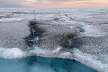 Phát hiện virus có thể làm chậm sự nóng lên toàn cầu