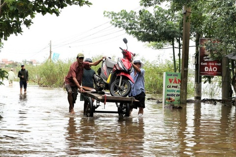 Lũ vẫn dâng cao, xe bò "cõng" xe máy vượt biển nước