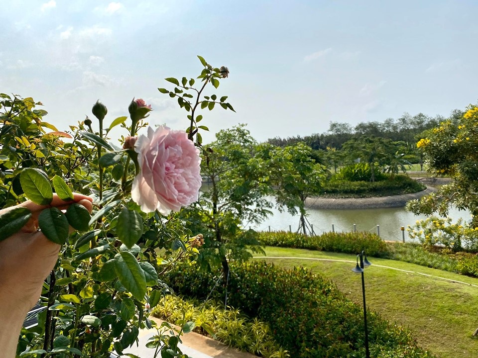Nghệ sĩ xoay sở ra sao khi phải ngừng hoạt động vì dịch Covid-19 - 10 Nghệ sĩ xoay sở ra sao khi phải ngừng hoạt động vì dịch Covid-19 - 10