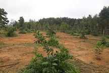 Huyện Hương Khê chỉ đạo cấp ngay sổ đỏ cho dân sau phản ánh của Báo Dân trí!