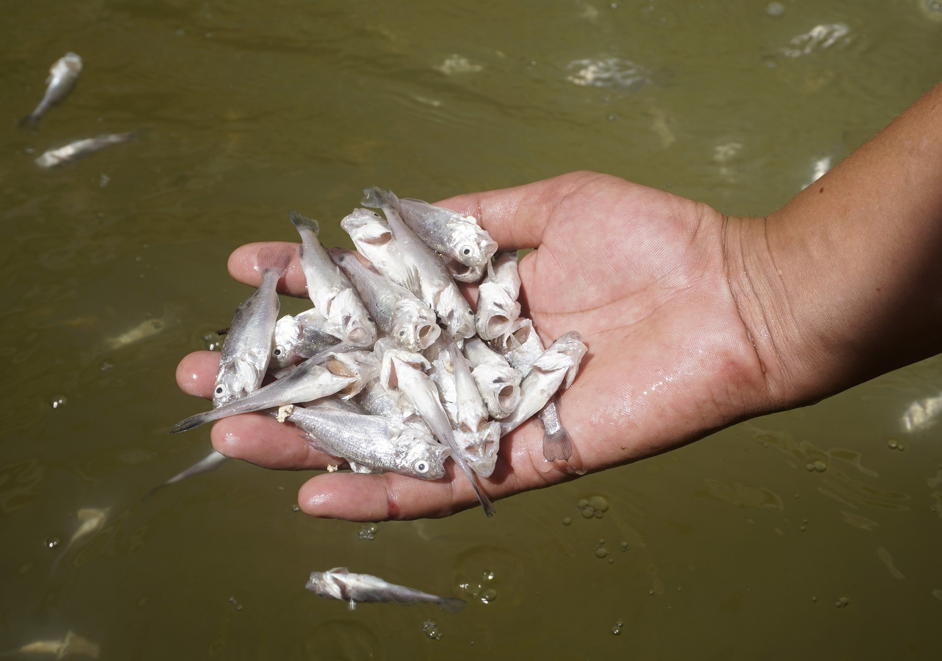 Ngư dân thất thần sau bão Kalmaegi: Trắng tay rồi, tan nát hết! - 8