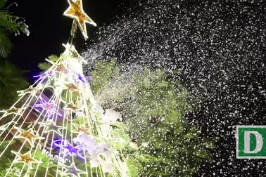 Giới trẻ thích thú với "tuyết rơi" ở Hà Nội