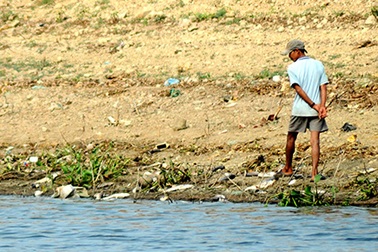 Hàng chục tấn cá chết trắng mặt hồ