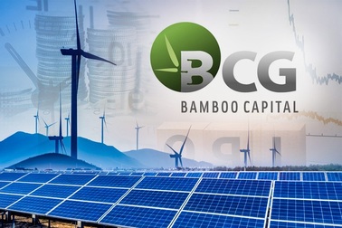Bamboo Capital công bố doanh thu 2023 hơn 4.000 tỷ, nợ phải trả giảm gần 5.500 tỷ đồng
