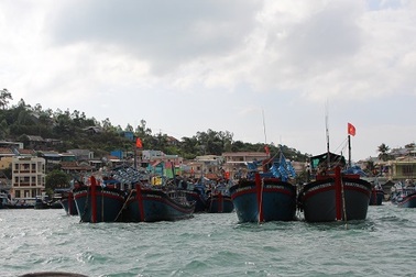 Muỗi nuôi ở Nha Trang ức chế sự phát triển của vi rút Zika