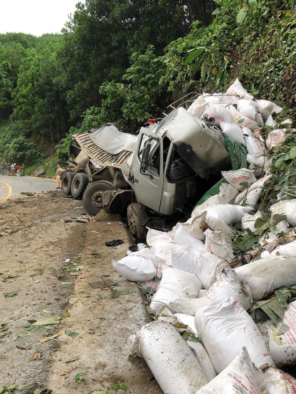 Ô tô tải mất lái trên đường Hồ Chí Minh, tài xế tử vong trong cabin - 2