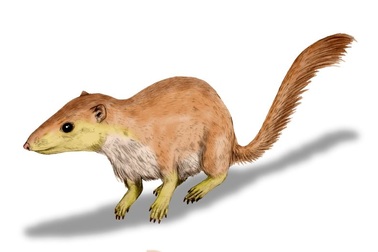 Động vật có vú đã làm chủ Trái Đất từ trước khi khủng long tuyệt chủng