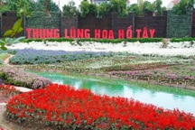 Thung lũng hoa Hồ Tây được đấu giá cho thuê đất trên 700 triệu đồng/năm