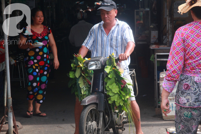 Lá xông Miền tay vượt trăm cây số lên Sài Gòn, bánh ú tro 