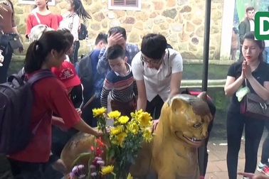 Chen lấn sờ "Hổ thần chùa Hương" mong tiêu trừ bệnh tật