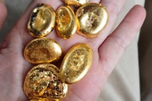 Bắt quả tang 5 đối tượng khai thác vàng trái phép trong rừng sâu