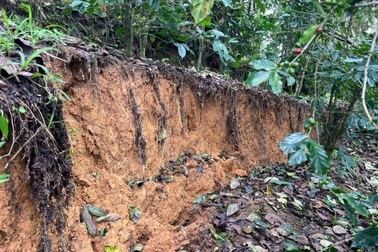 Mặt đất xuất hiện vết nứt chạy dài, Lâm Đồng sơ tán nhiều hộ dân