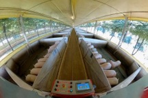 Cách cho lợn ăn thời công nghệ, vật nuôi được nghe nhạc giảm stress